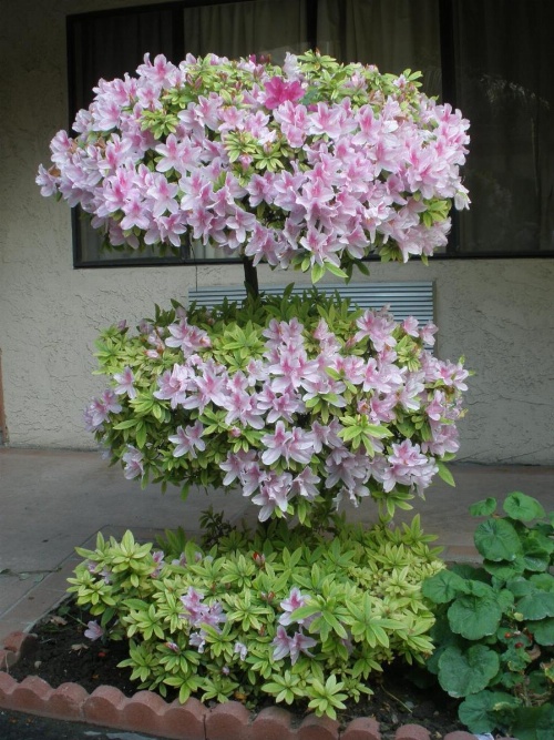 Garden Inn and Suites Glendora image 23