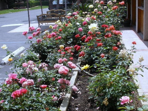 Garden Inn and Suites Glendora image 24